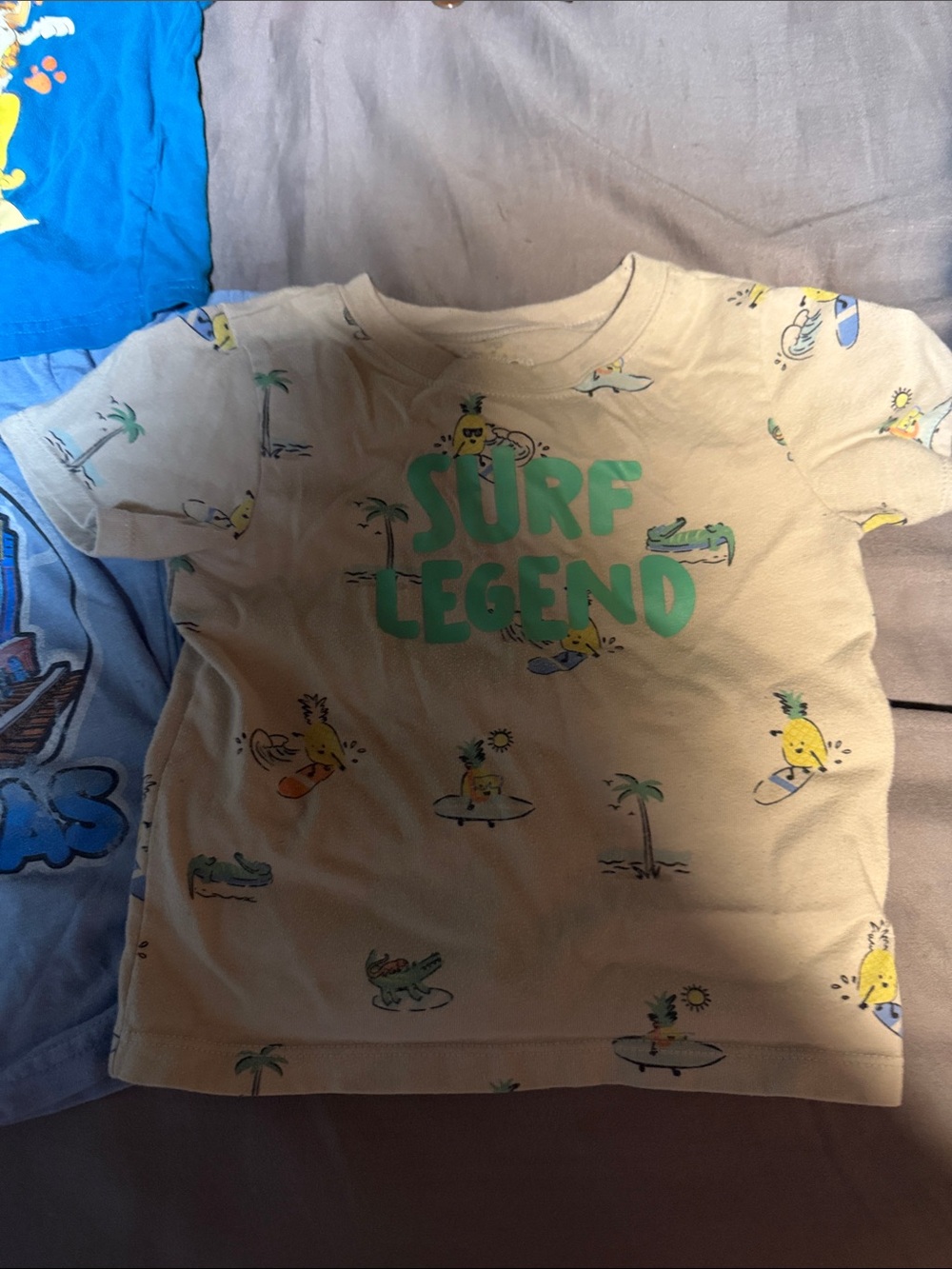 Kids' graphic tee shirt lot size 2T